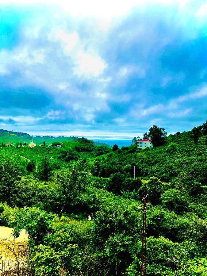 Aparthotel Five Stars Apart Trabzon Exterior foto