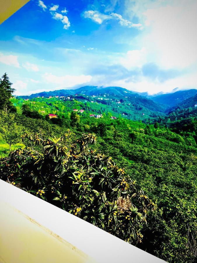 Aparthotel Five Stars Apart Trabzon Exterior foto